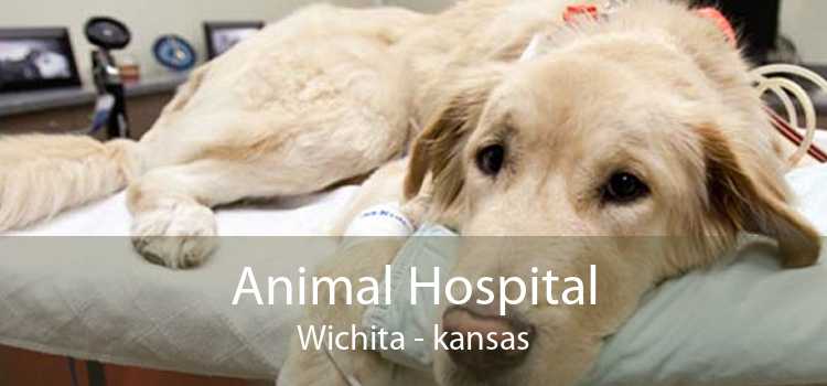 urgent pet care wichita ks