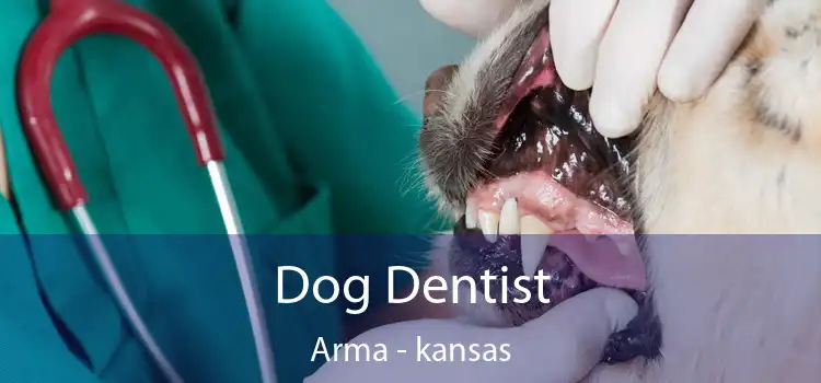 Dog Dentist Arma - kansas