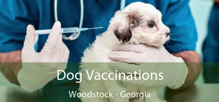 Dog Vaccinations Woodstock - Georgia