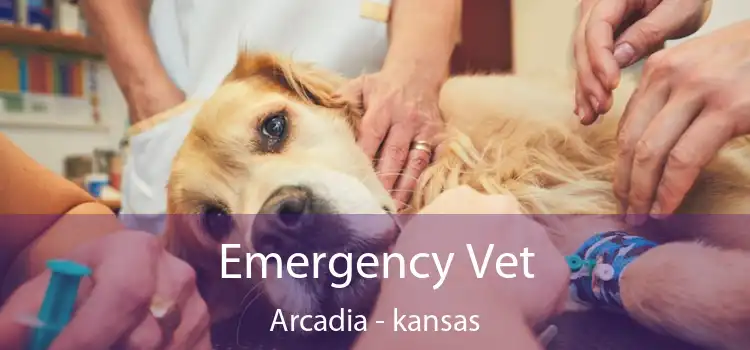 Emergency Vet Arcadia - kansas