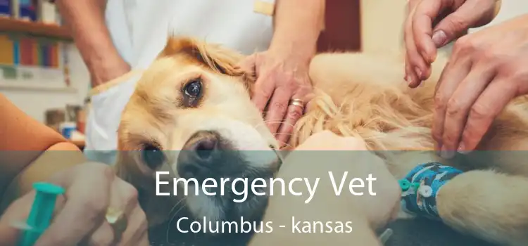 Emergency Vet Columbus - kansas