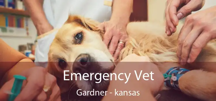 Emergency Vet Gardner - kansas