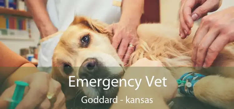 Emergency Vet Goddard - kansas