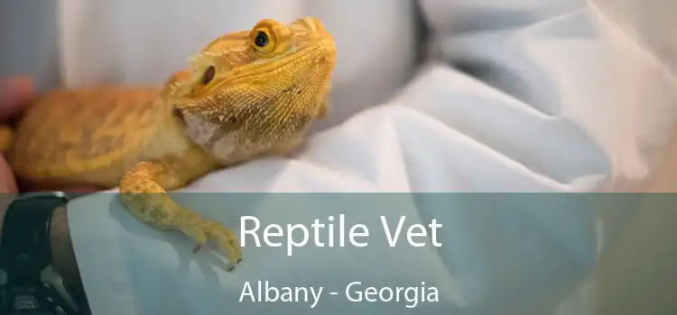 Reptile Vet Albany - Georgia