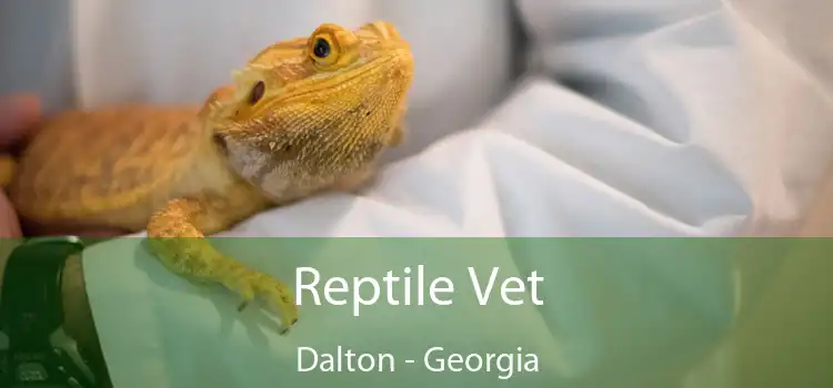 Reptile Vet Dalton - Georgia