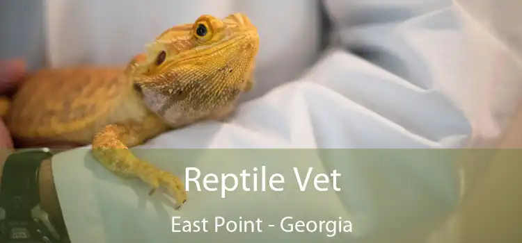 Reptile Vet East Point - Georgia