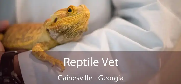 Reptile Vet Gainesville - Georgia