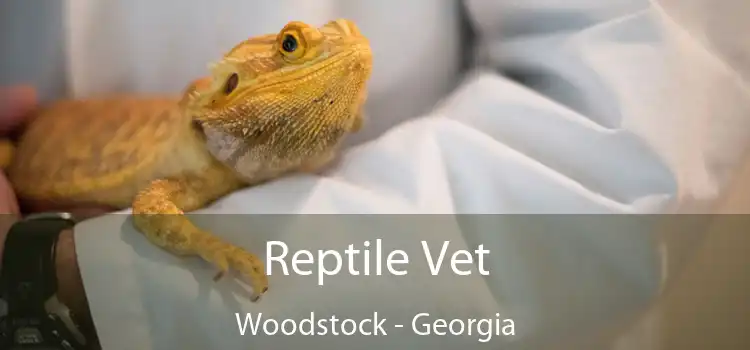 Reptile Vet Woodstock - Georgia