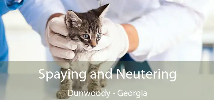 Spaying and Neutering Dunwoody - Georgia