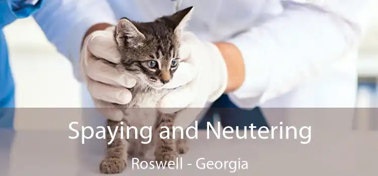 Spaying and Neutering Roswell - Georgia