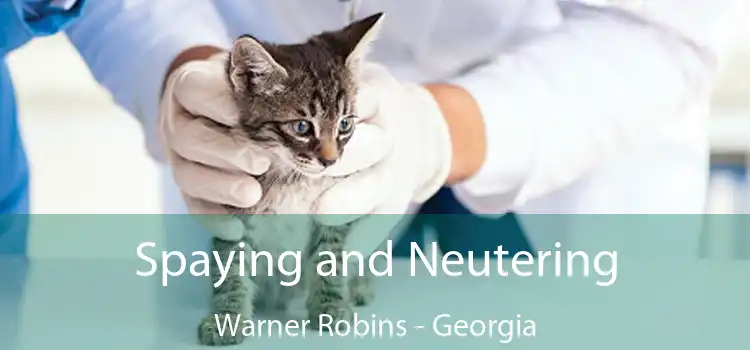 Spaying and Neutering Warner Robins - Georgia