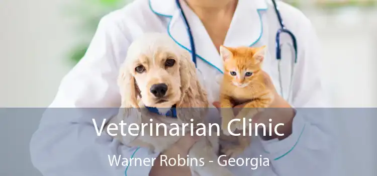 Veterinarian Clinic Warner Robins - Georgia